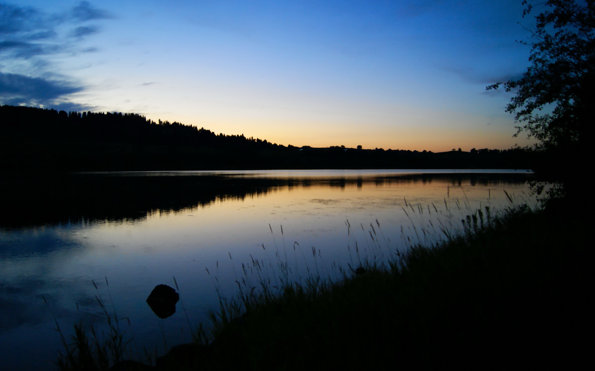 _夜市体育狂欢节：灯火辉煌中的运动盛典_，体育狂欢夜策划案
